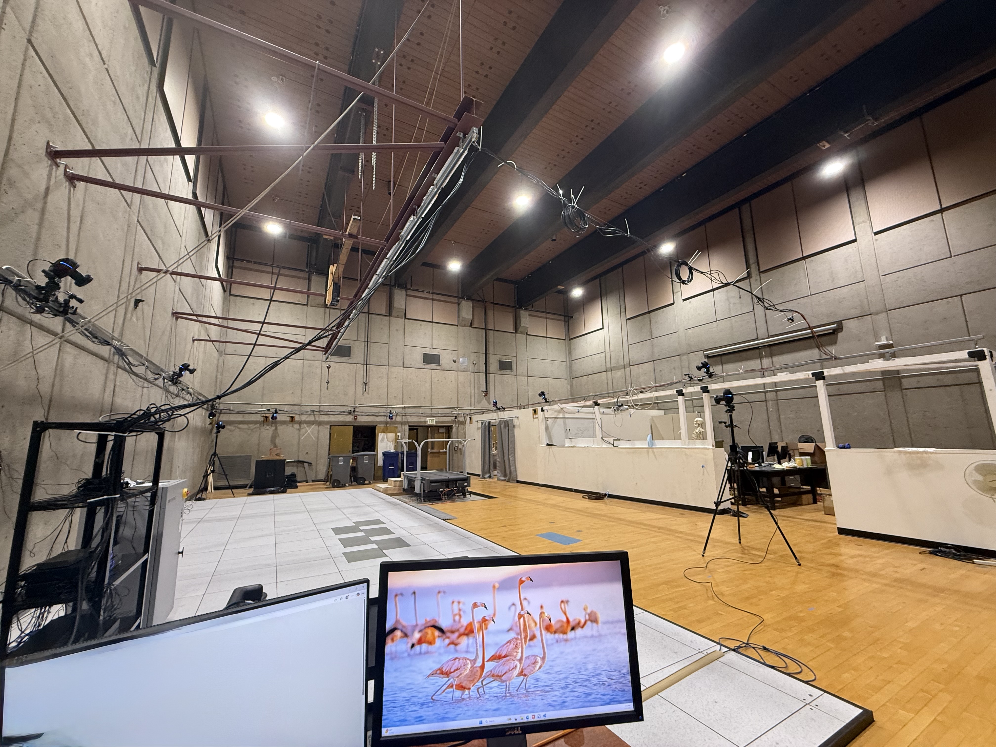 University of Oregon Human Biomechanics Lab.